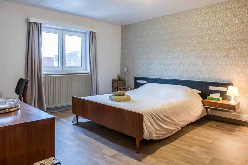 Vakantiewoning In Mol Centrum Met Eigen Bar "Casacuriosa" Eksteriør billede