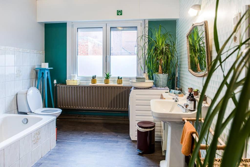 Vakantiewoning In Mol Centrum Met Eigen Bar "Casacuriosa" Eksteriør billede